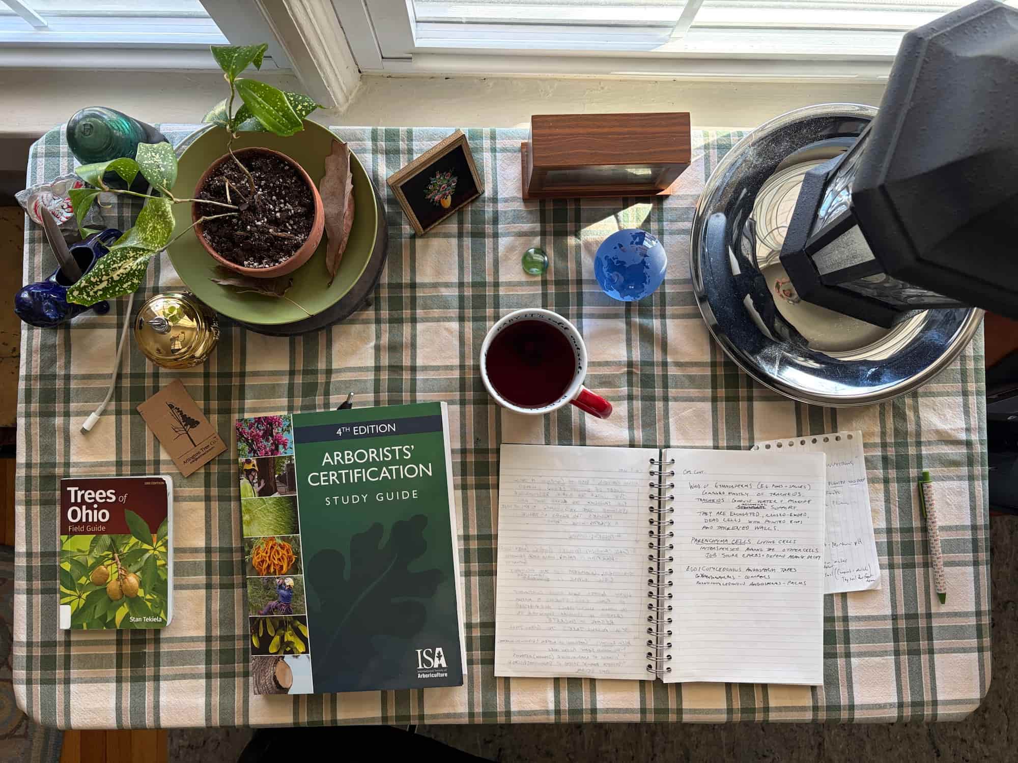 The ISA Arborists' Certification Study Guide open on a desk beside a notebook of handwritten notes copied longhand from its pages, with ArbAssist on a laptop