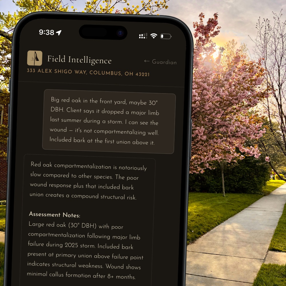 ArbAssist Field Intelligence on iPhone — live AI assessment at 333 Alex Shigo Way